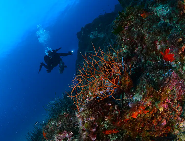 Material de submarinismo Metalsub Dive Equipment